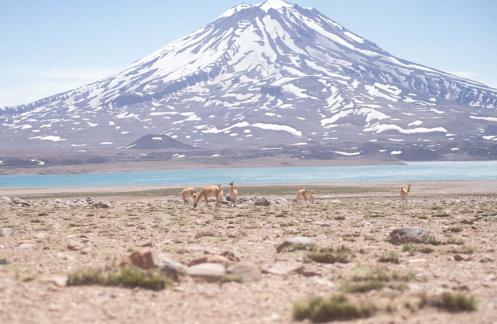 Laguna del Diamante. Foto: Prensa Gob. de Mendoza
