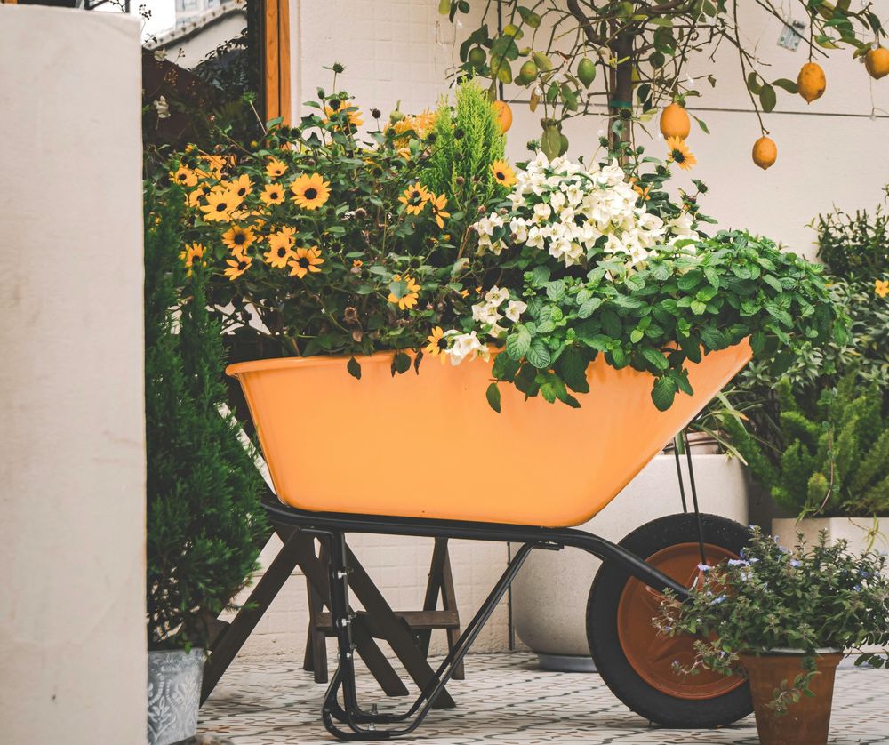 Trucos para tener un jardín soñado