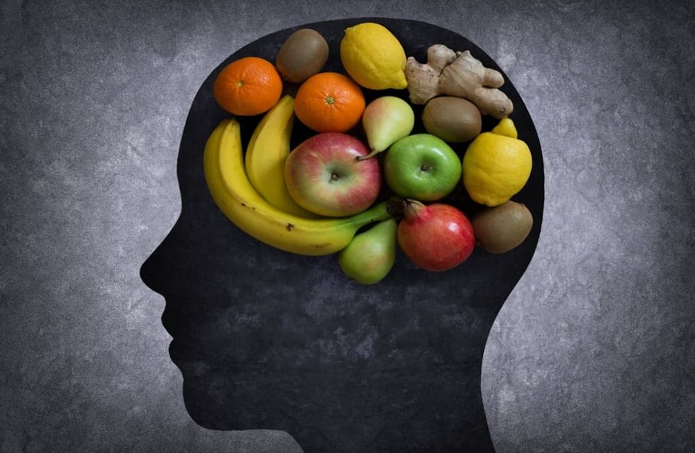 Neurociencias y alimentación, en el Ciclo de Encuentros Virtuales de MELE para docentes