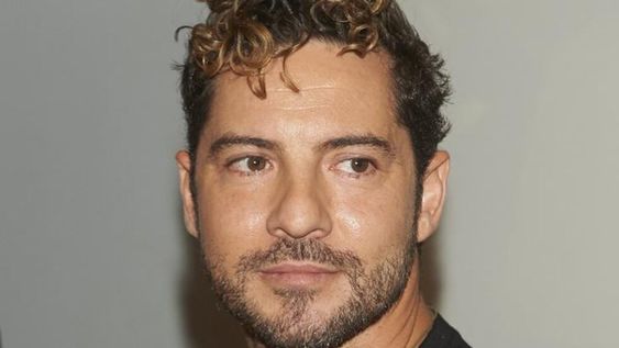 Feliz por la llegada del inminente verano, David Bisbal compartió un tierno video con su perrito y sin ropa a la vista