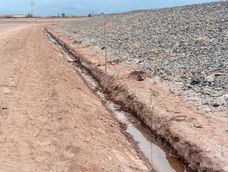 Reforestación: se plantarán 756 árboles en una obra que Irrigación inauguró en marzo