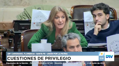 Diputados: Florencia Carignano dijo que Gerardo Milman estuvo dopado y acusó de gato a una legisladora libertaria.
