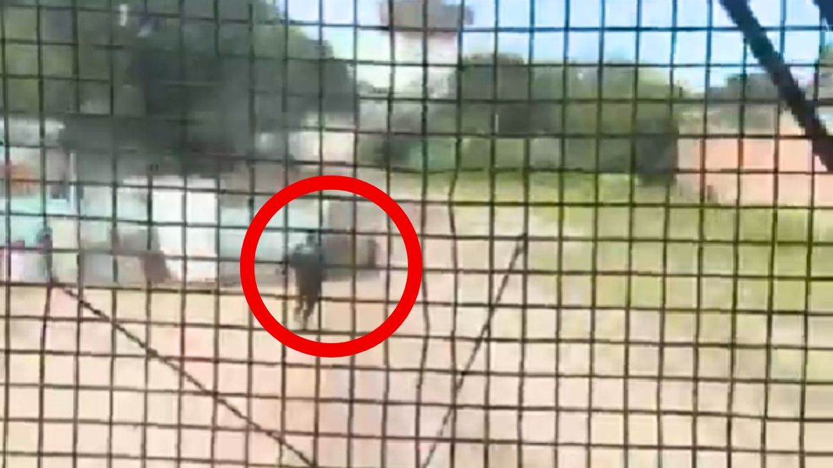 Un policía rescató a un nene de 3 años segundos antes de que pasara un tren: el impresionante video