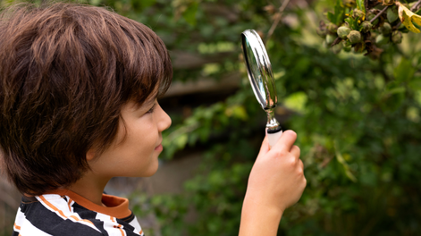 Enseñar a aprender. ¿Cómo ayudar a los chicos a descubrir estrategias para el aprendizaje?