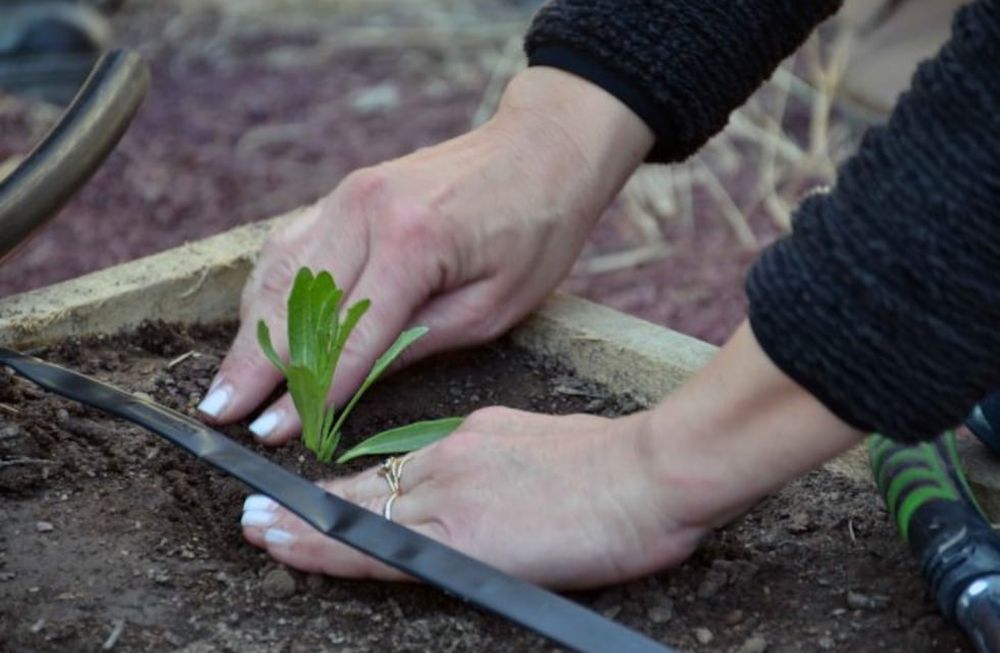 La agroecología ofrece una alternativa a los pequeños productores