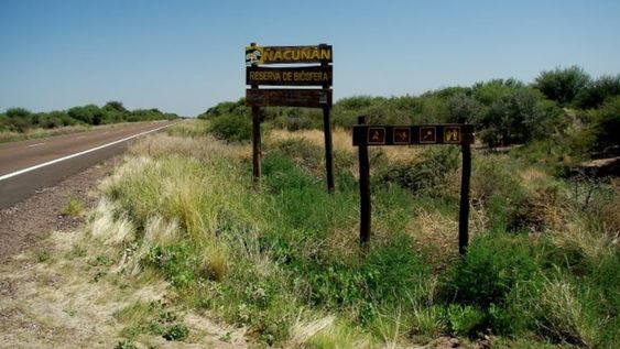 Reserva Ñancuñan.