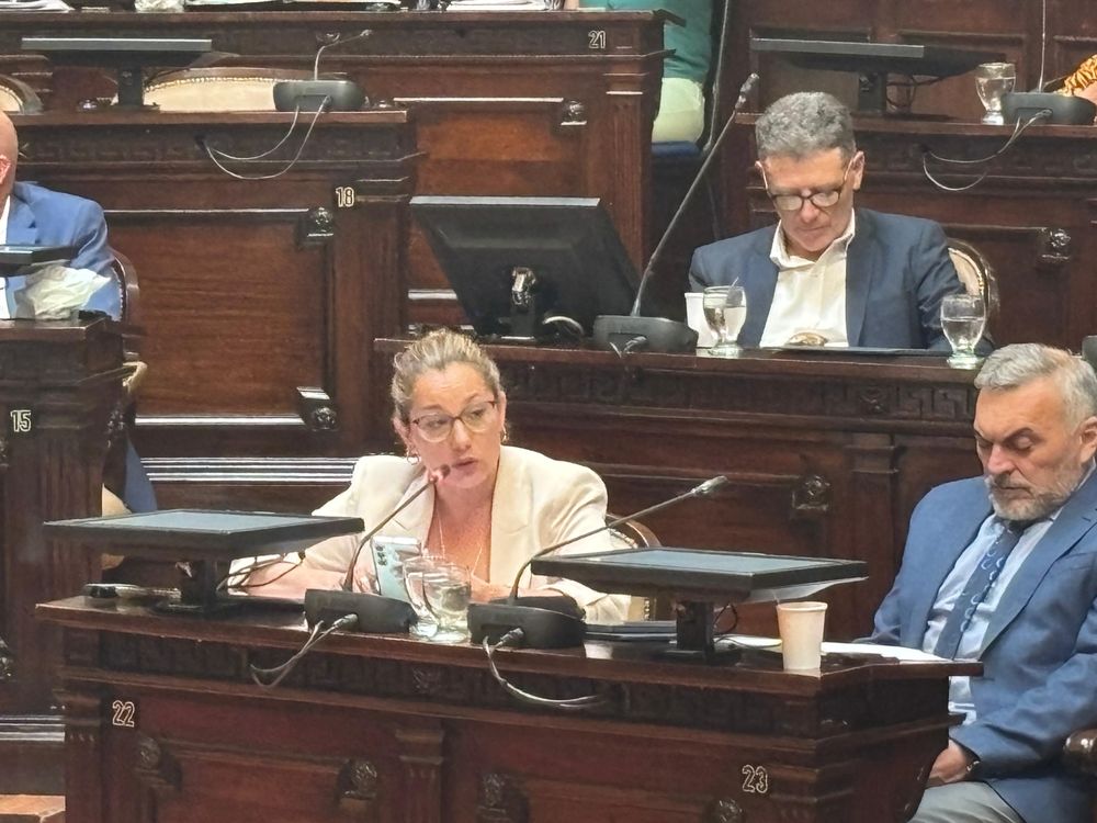 La presidenta del bloque de la Cámara de Senadores del Peronismo, Adriana Cano. 