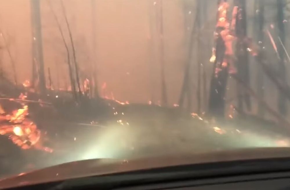 El dramático momento en que un padre y su hijo escapan de un feroz incendio forestal