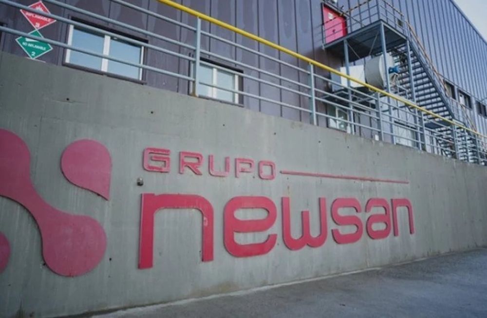 Newsan ofrece empleo en Mendoza: cómo aplicar.