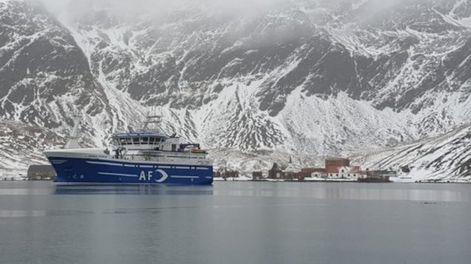 Los Andes | Pesca Malvinas - Buques palangreros de banderas de Territorios de Ultramar, pescan en Georgias del Sur y la zona. Pez Granadero y Merluza Negra son las principales especies explotadas.