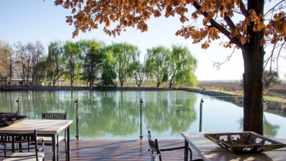 Piattelli Vineyards celebra sus premios Gran Oro Guarda 14 con un menú especial