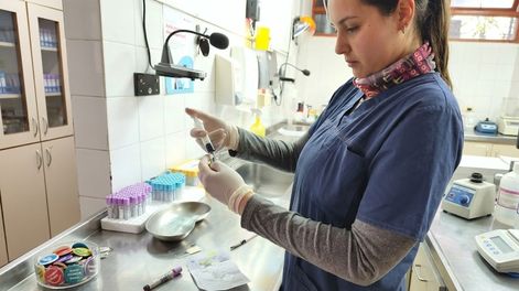 El Hospital Perrupato se incorporó a la Red Provincial de Laboratorios y amplía el acceso a estudios de alta complejidad.