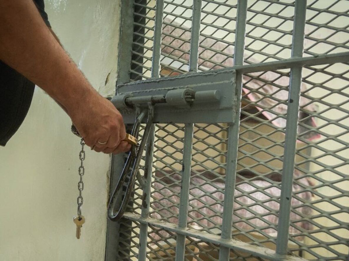 Entre la fascinación y el odio por las realidades ajenas - Por Ignacio Zavala Tello