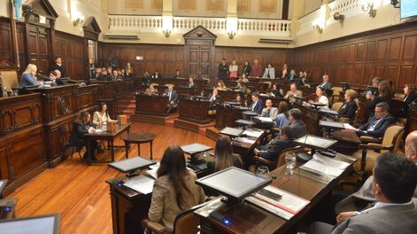 El Senado le dio media sanción al proyecto de exploración de litio Don Luis y Otro.&nbsp;
