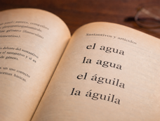 ¿el agua o la agua? ¿el aguila o la aguila?: la regla detras del uso de los articulos