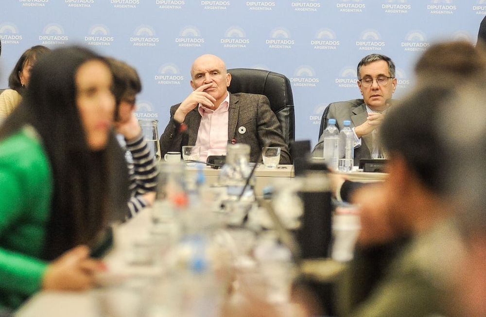 Los diputados José Luis Espert (LLA) y Alejandro Finocchiaro (PRO), presidentes de las comisiones de Presupuesto y Educación (Foto: Federico López Claro)