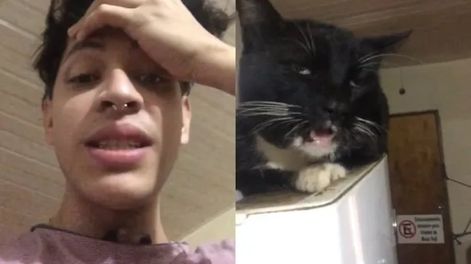 El influencer tuvo que salir a aclarar que su mascota se encontraba bien. Foto: Web