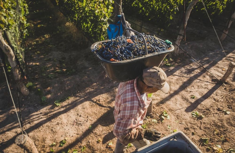 Expectativa por la economía en el gobierno de Suárez: el desafío del crecimiento