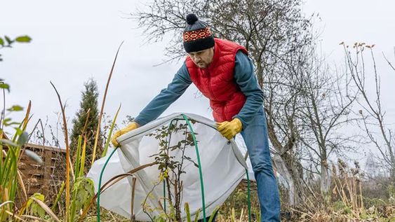 La tela antiheladas es de polipropileno no tejido y no contamina tus plantas.