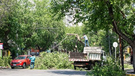 Continúa el operativo de la Ciudad frente al zonda más intenso de los últimos años