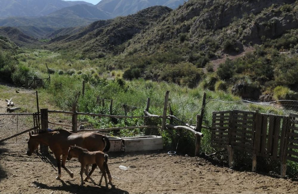 El Puesto Lima está a unos 2 kilómetros al Oeste de la Colonia Papagayos. Foto: Orlando Pelichotti / Los Andes
