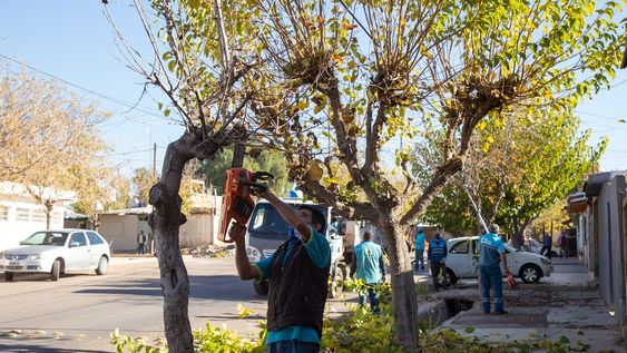 Cronograma de tareas correspondientes al área de Servicios Públicos