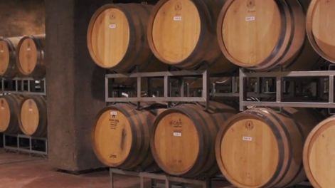 Los Andes | Desde su casco histórico de finales del siglo XIX, la bodega ha pasado de producir vino a granel a enfocarse en la elaboración de vinos de alta gama.