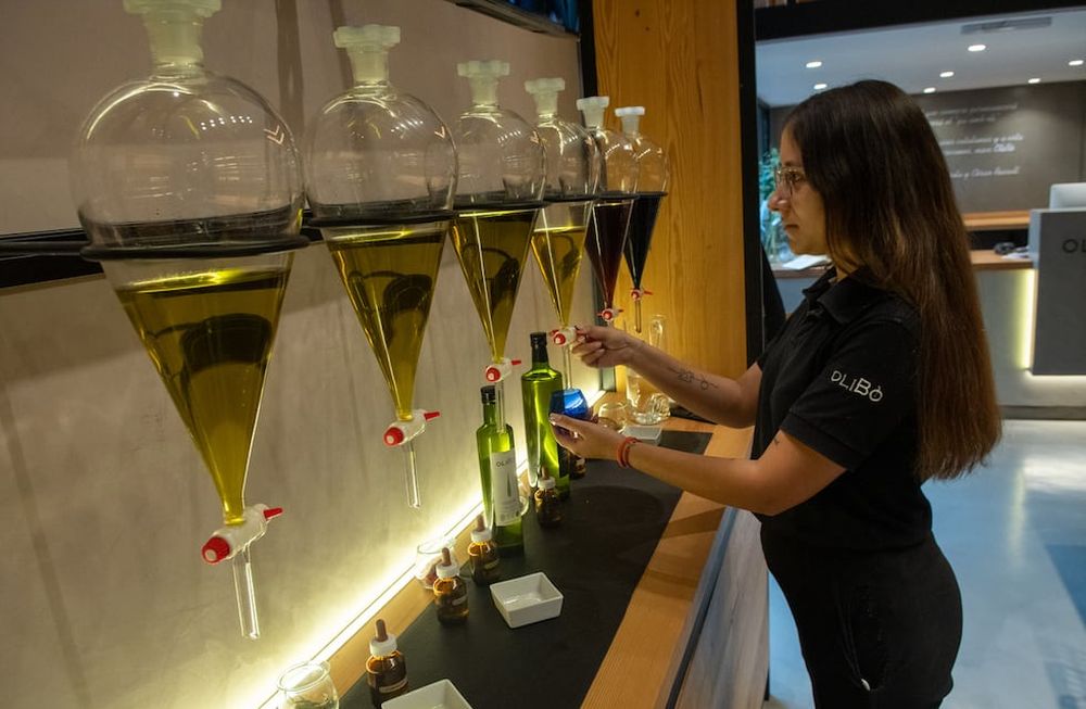 A través de la barra sensorial del lugar se pueden descrubir los diferentes componentes del aceite de oliva virgen extra. - Foto: Ignacio Blanco / Los Andes