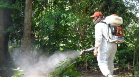 Suben los casos de dengue y chikungunya.