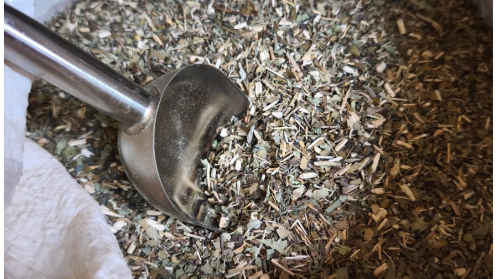 Entre Yerbas y Otras Yerbas, un emprendimiento único de venta de yerba mate en Mendoza
