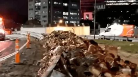 Según informaron las autoridades, el camión perdió el control y chocó contra las barreras contenedoras de la curva, lo que provocó el vuelco y la dispersión de la carga en plena autopista. (gentileza: Crónica)