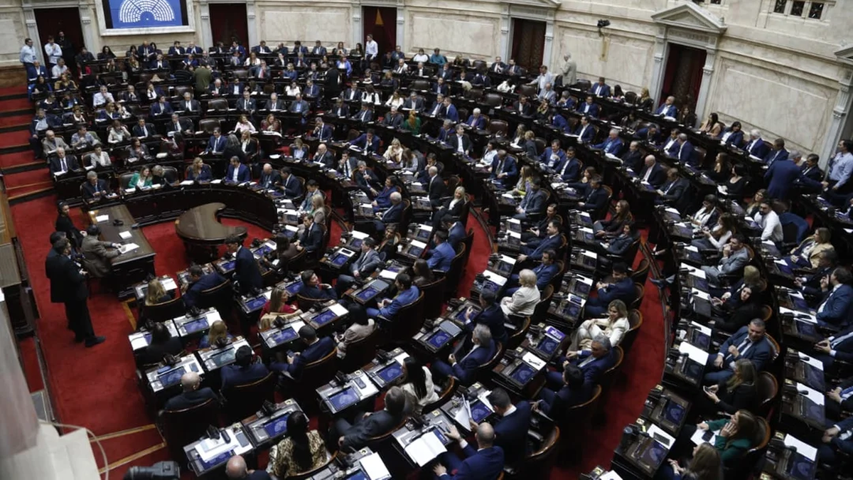 Reforma de la Ley de Glaciares: jornada tensa en el interior del recinto y protestas afuera del Congreso