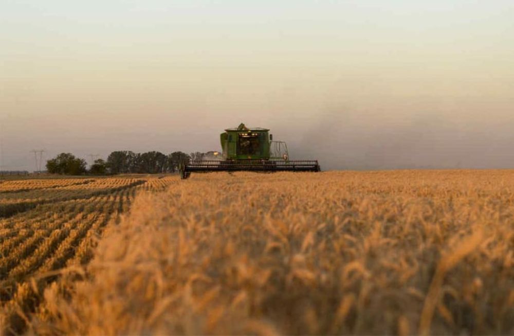 Las nuevas medidas de Massa y su impacto en la agroindustria.