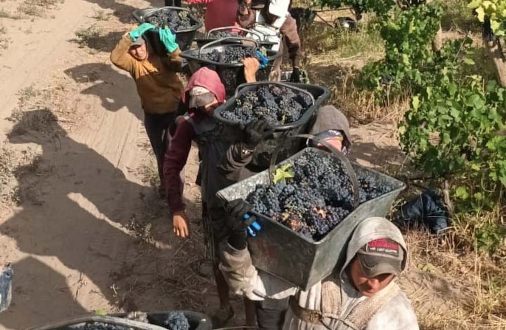 Qué aumentos han definido algunos gremios para cerrar 2023 por encima de la inflación.