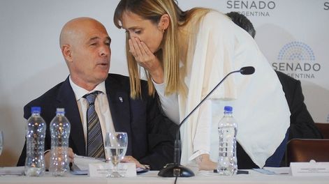 Los Andes | La Ley de Bases durante su tratamiento en la Comisión. En la foto, los senadores Bartolome Abdala y Ananabel Fernández Sagasti (Federico Lopez Claro)