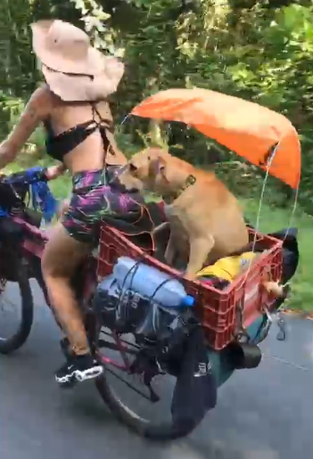 Aile Macerası: Mendoza yerlisinin, partneri ve köpeğiyle birlikte Amerika'yı bisikletle dolaşırken çektiği fotoğraflar, videolar ve anekdotlar. Fotoğraf: Video çekimi