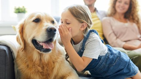 Un estudio demuestra que los niños que hablaban con frecuencia con sus mascotas fortalecían lo que hoy se conoce como regulación emocional autónoma