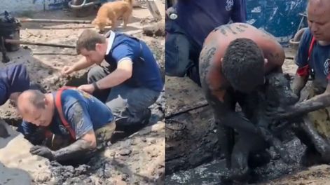 Así rescataron a un perro que quedó atrapado en un desagüe&nbsp;