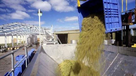 Presión vitivinícola a Caputo: exigen mantener los sistemas de control en el sector