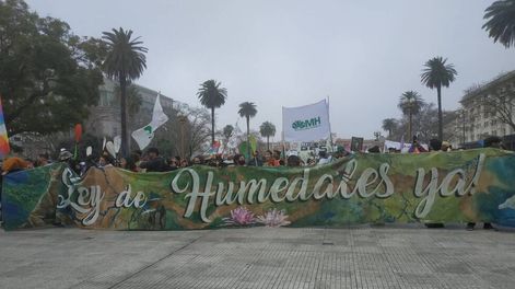 Los Andes | Más de 380 organizaciones marcharon al Congreso para reclamar la ley (Foto: Multisectorial Humedales)