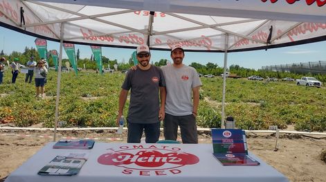 La producción de tomate para industria se concentra principalmente en Cuyo y abastece a las principales empresas elaboradoras de alimentos del país.