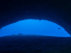 Revelan las primeras fotos de la cueva de Maldivas donde murieron los buceadores italianos Revelan las primeras fotos de la cueva de Maldivas donde murieron los buceadores italianos