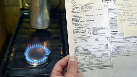 Cómo acceder al subsidio de luz y gas según cada categoría de ingresos. Foto: Orlando Pelichotti
