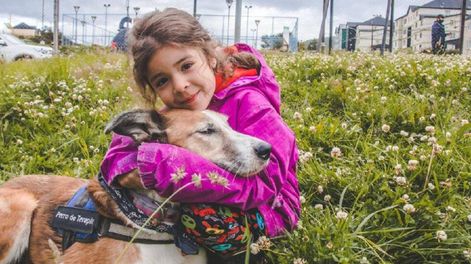 La interacción entre niños y perros mejora el nivel emocional e intelectual de los niños y ayuda a su desarrollo social integral.