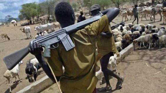 Los pastores de la etnia Fulani, de religión musulmanes, se trasladan armados con sus ganados y cada vez es más frecuente que ejecuten matanzas masivas a grupos cristianos.