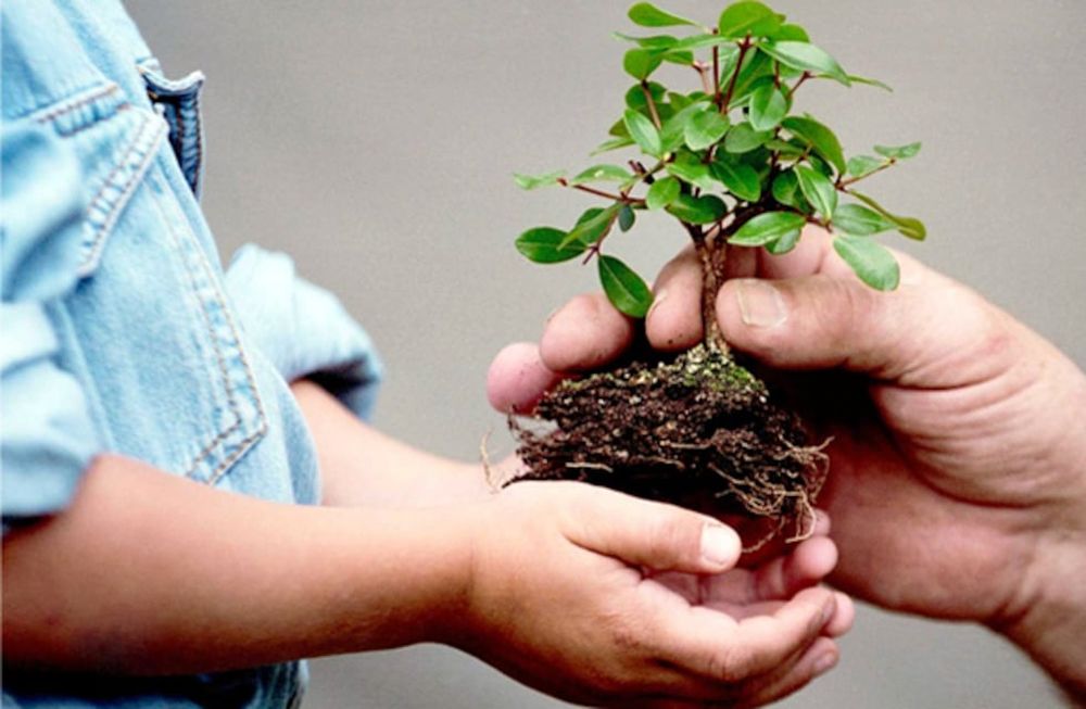 Se buscan propuestas innovadoras para desarrollar acciones de sustentabilidad (perspectiva ambiental) y sostenibilidad (perspectiva social).