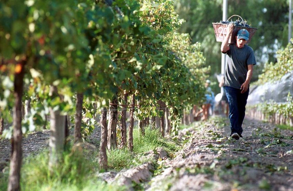 Tensión entre Pérez y Gioja por las medidas para la vitivinicultura