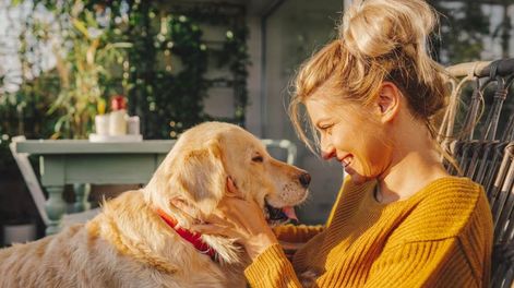 Los Andes | Este es el beneficio de hablarle a los perros como si fueran bebés.