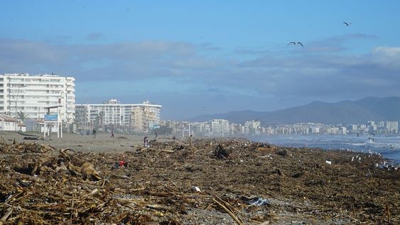 La playa de La Serena, irreconocible: levantan basura, escombros y hasta animales muertos de cara al verano