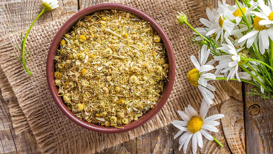 La planta que favorece la digestión, te ayuda a dormir como un bebé y aumenta las defensas